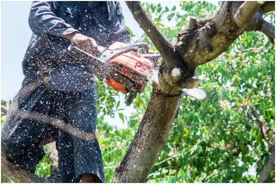 tree services Adamsville